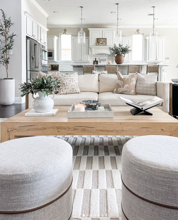 Grey and White Living Area Decor with pop of green