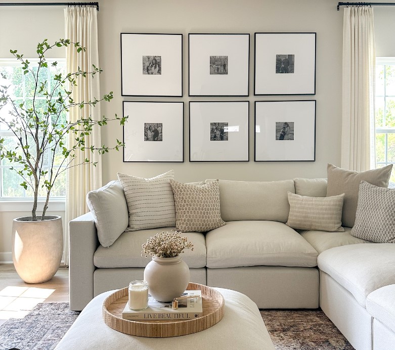 Grey and White Living room with Live Plant