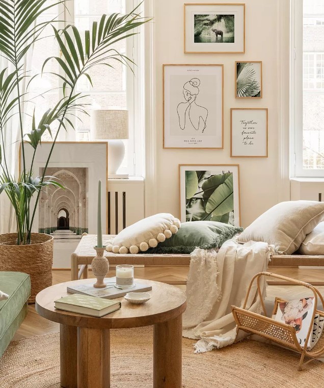 Live Plant and Boho Decor