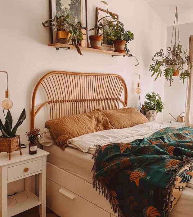 Wooden accents and Live Plants